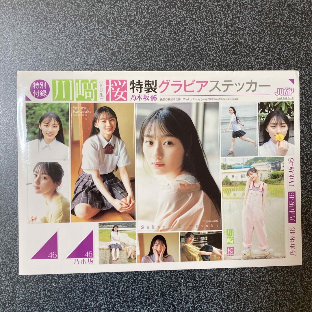 乃木坂46(ノギザカフォーティーシックス)の川崎桜 グラビアステッカー エンタメ/ホビーのタレントグッズ(アイドルグッズ)の商品写真