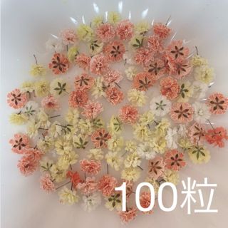 オレンジ系 かすみ草ドライフラワー100粒(ドライフラワー)