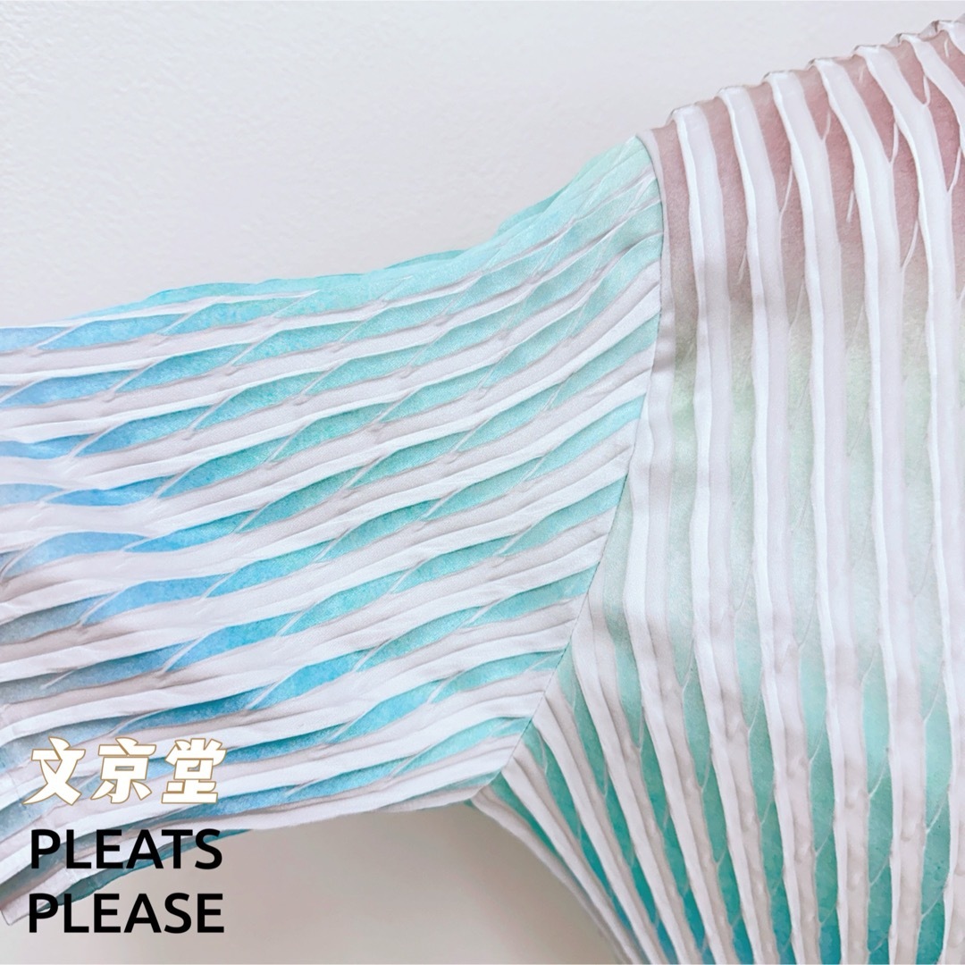 ISSEY MIYAKE(イッセイミヤケ)のISSEY MIYAKE SUFFUSED PLEATS 限定色丸首半袖トップス レディースのトップス(カットソー(半袖/袖なし))の商品写真