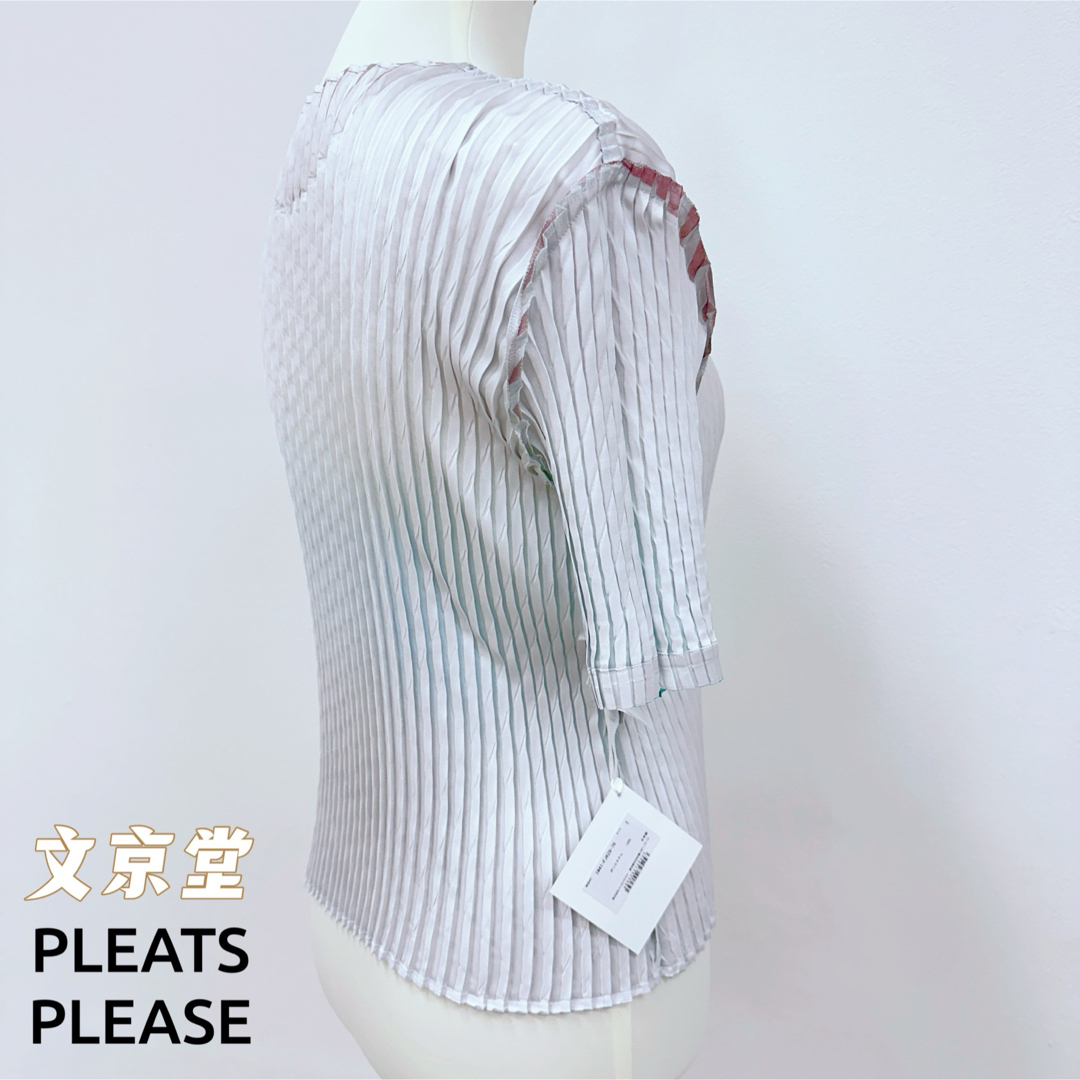 ISSEY MIYAKE(イッセイミヤケ)のISSEY MIYAKE SUFFUSED PLEATS 限定色丸首半袖トップス レディースのトップス(カットソー(半袖/袖なし))の商品写真