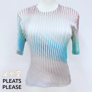 イッセイミヤケ(ISSEY MIYAKE)のISSEY MIYAKE SUFFUSED PLEATS 限定色丸首半袖トップス(カットソー(半袖/袖なし))