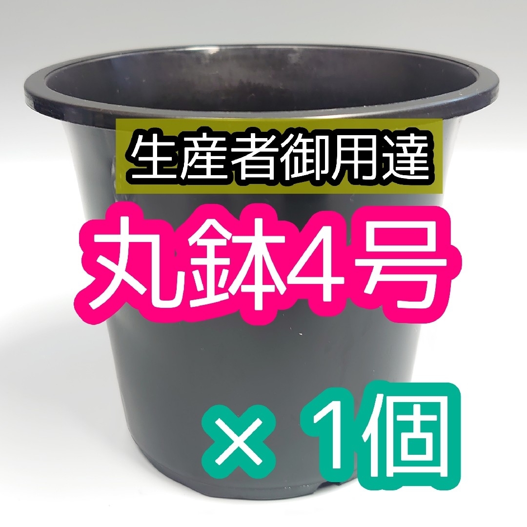 丸鉢 4号 黒 1個 プラ鉢 サボテン アガベ 多肉植物 観葉植物 多肉植物 ハンドメイドのフラワー/ガーデン(プランター)の商品写真