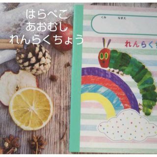 はらぺこあおむし☆連絡帳☆14、8×11、3cm☆32ページ☆7㎜罫線☆新品送料(絵本/児童書)