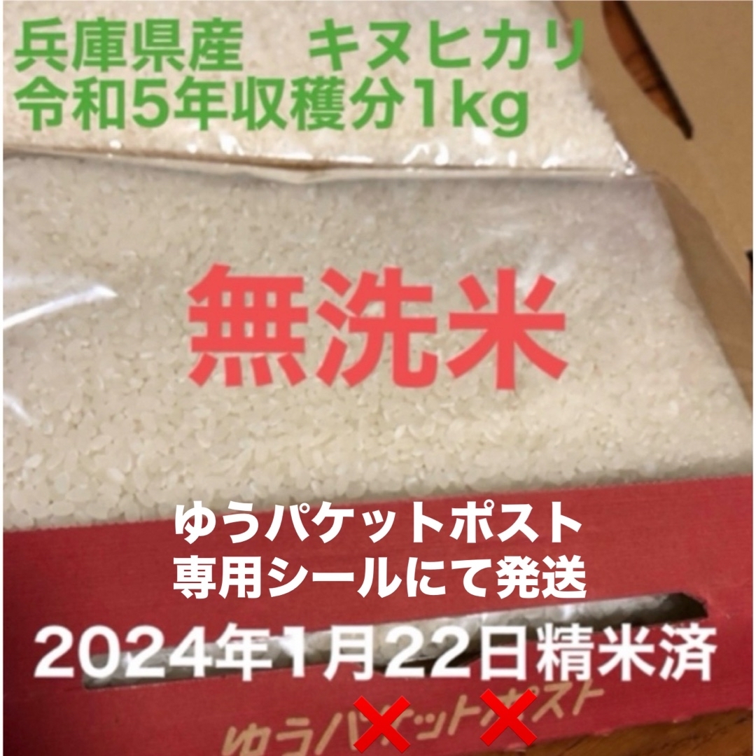 無洗米　兵庫県産　キヌヒカリ1kg 食品/飲料/酒の食品(米/穀物)の商品写真