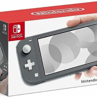 【中古・箱説あり・付属品あり・傷なし】ニンテンドースイッチライトグレー(携帯用ゲーム機本体)