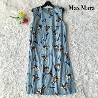 Max Mara - 【美品】マックスマーラ 膝丈 ワンピース 花柄 近年モデル ブルー XL
