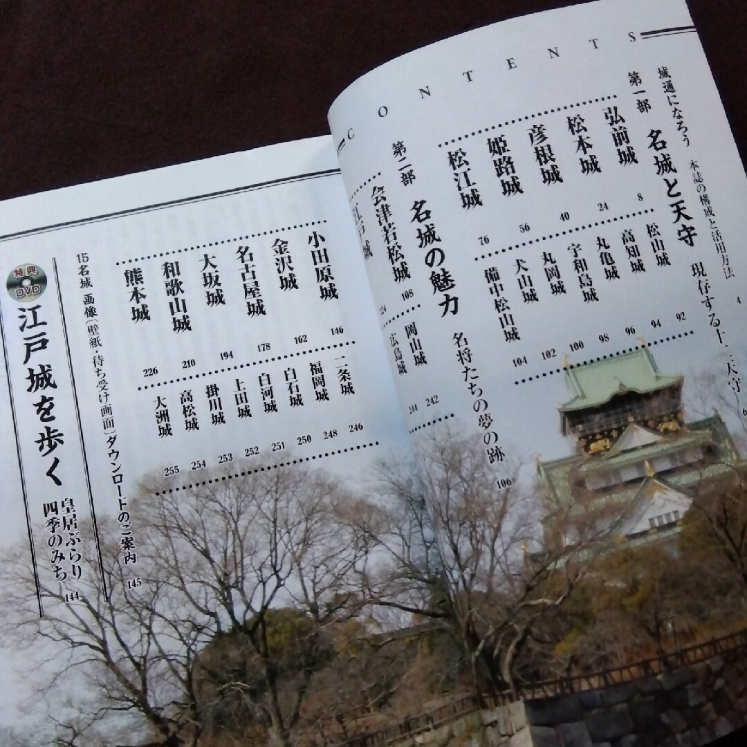 歴史通 日本の名城30 城通になるために DVD付 エンタメ/ホビーの本(人文/社会)の商品写真