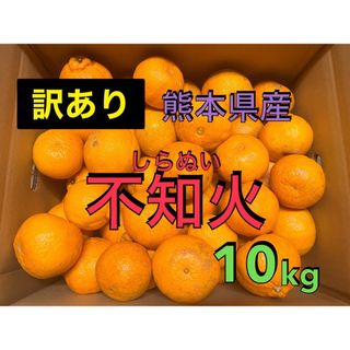 訳あり　不知火　10kg(フルーツ)