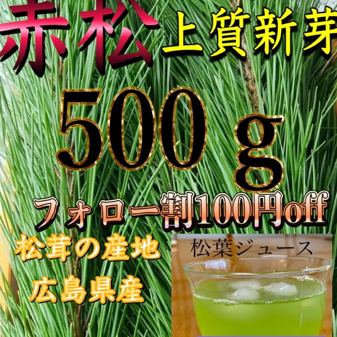 seiya様専用出品です。赤松 松葉 新芽 松の葉 松葉ジュース 500㌘ 食品/飲料/酒の食品(野菜)の商品写真