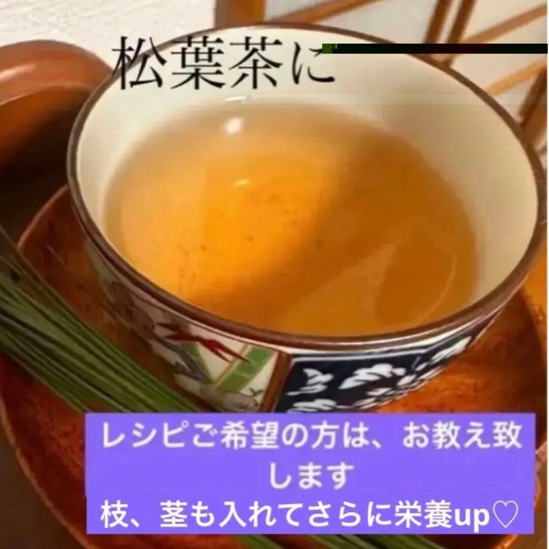 seiya様専用出品です。赤松 松葉 新芽 松の葉 松葉ジュース 500㌘ 食品/飲料/酒の食品(野菜)の商品写真