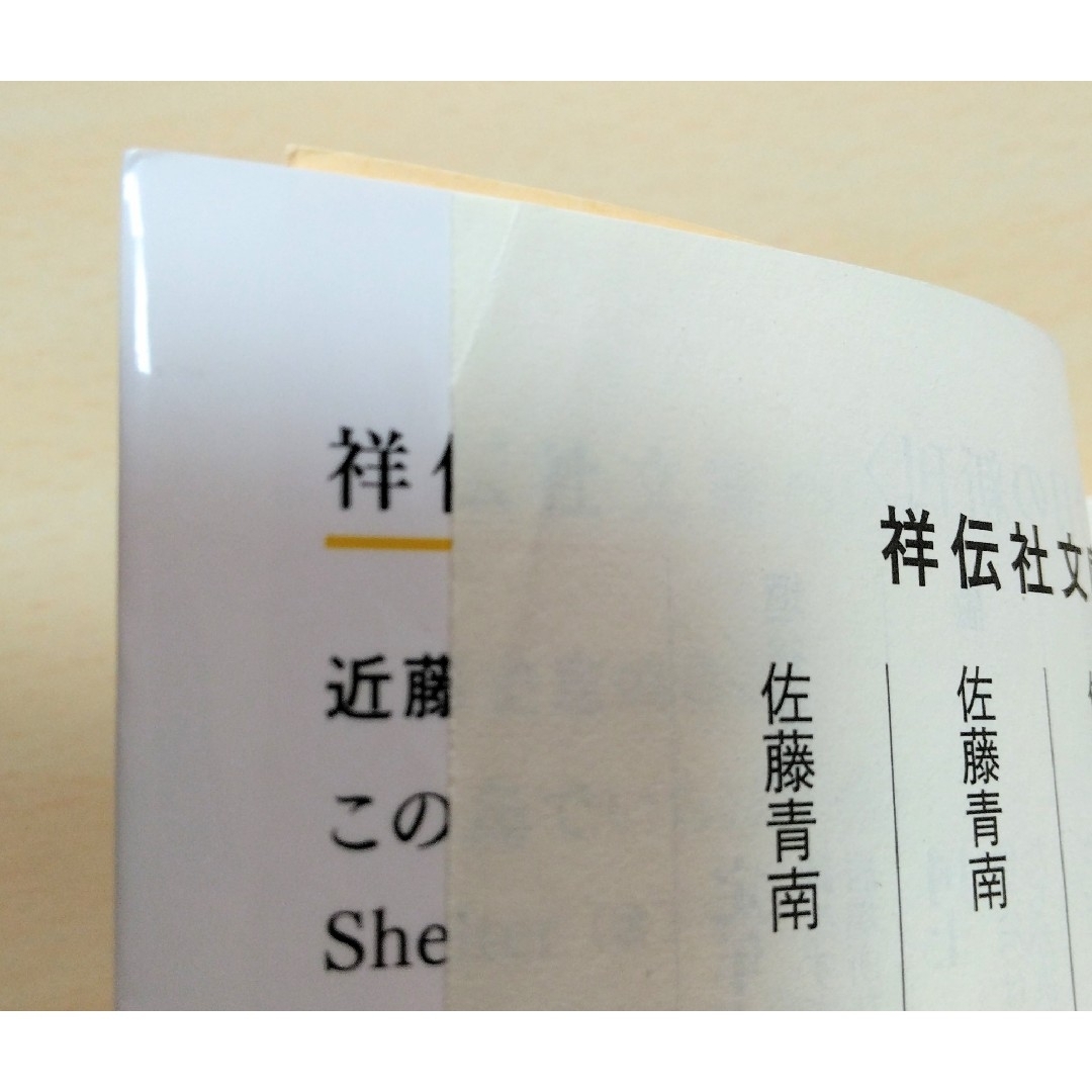 ｢ カナリヤは眠れない ｣  近藤史恵　文庫本　🔘匿名配送 エンタメ/ホビーの本(文学/小説)の商品写真