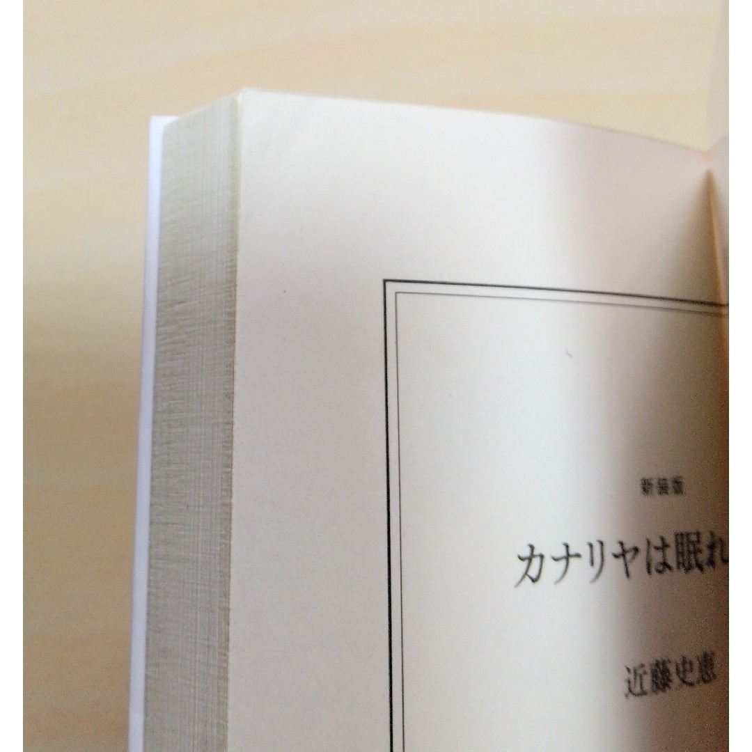 ｢ カナリヤは眠れない ｣  近藤史恵　文庫本　🔘匿名配送 エンタメ/ホビーの本(文学/小説)の商品写真