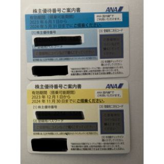 エーエヌエー(ゼンニッポンクウユ)(ANA(全日本空輸))のANA 株主優待券 2枚  (その他)