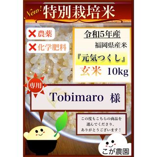 Tobimaro様専用　福岡県産「元気つくし」令和５年産　玄米10kg  (米/穀物)