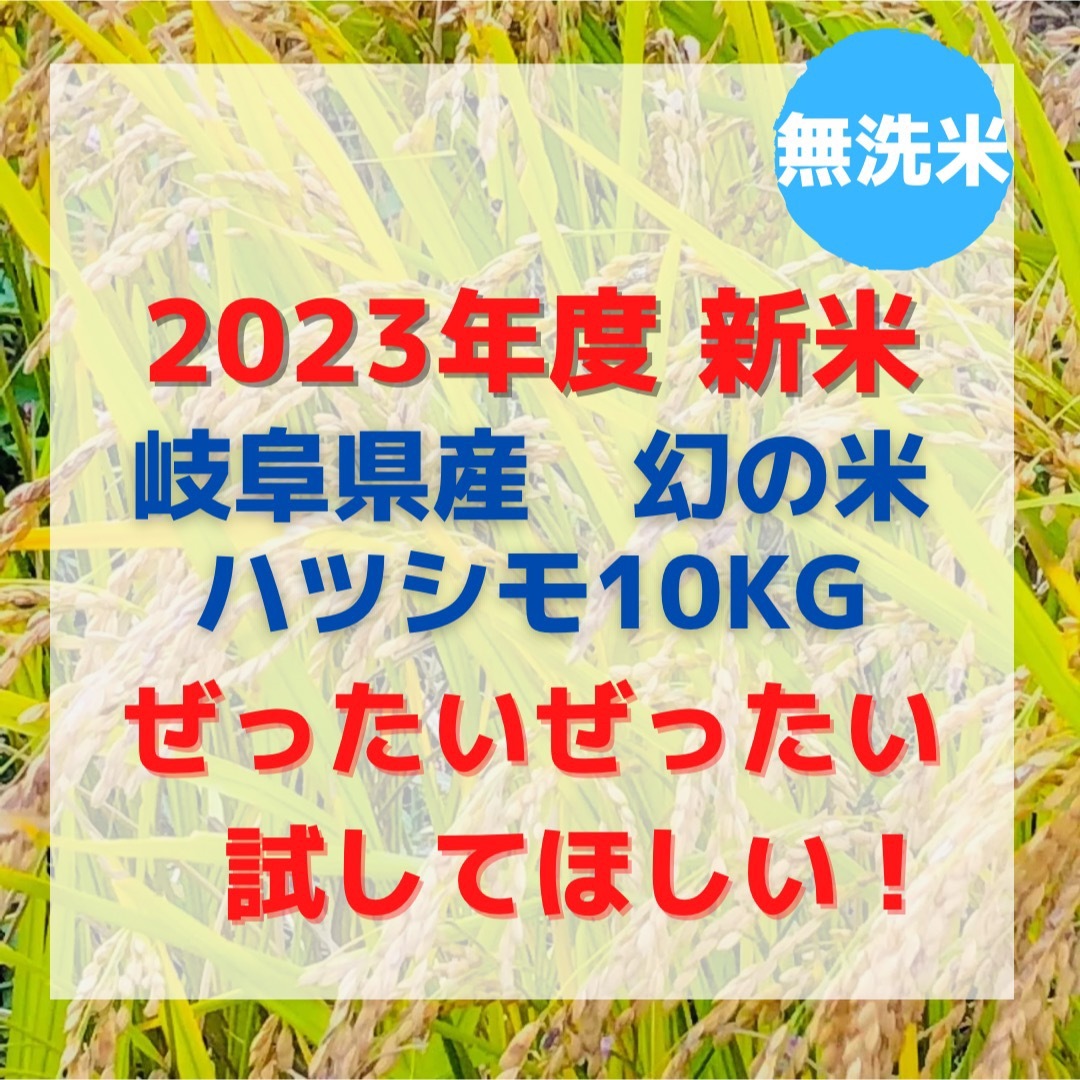 2023年度 幻の米 岐阜県産ハツシモ10kg 食品/飲料/酒の食品(米/穀物)の商品写真