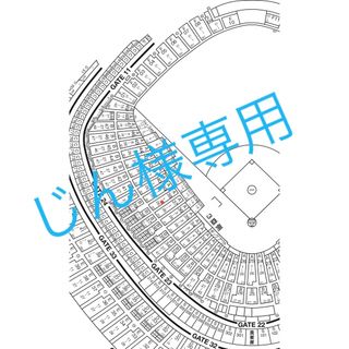 【今日まで出品です】東京ドーム　プロ野球公式戦　巨人VS横浜　4月5日（金）ペア(野球)