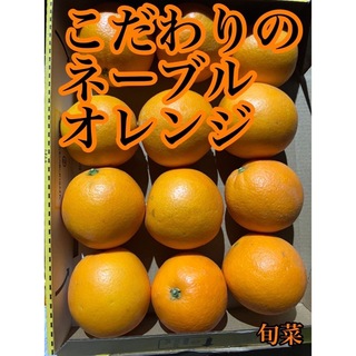 ネーブルオレンジ　国産　6〜12個　1キロ以上　低農薬(フルーツ)