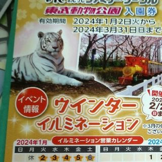 東武動物公園　入園券　3枚(動物園)