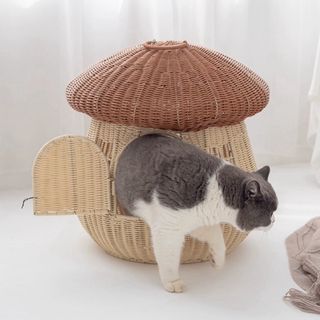 猫ベッドハウス ドーム型マッシュルーム犬小屋 猫小屋 キャット寝床ペットベッド (猫)