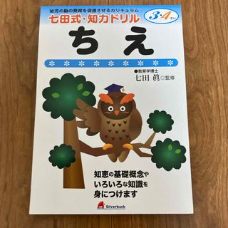 七田式 - パルキッズ プリスクーラー 児童英語研究所の通販 by きー 