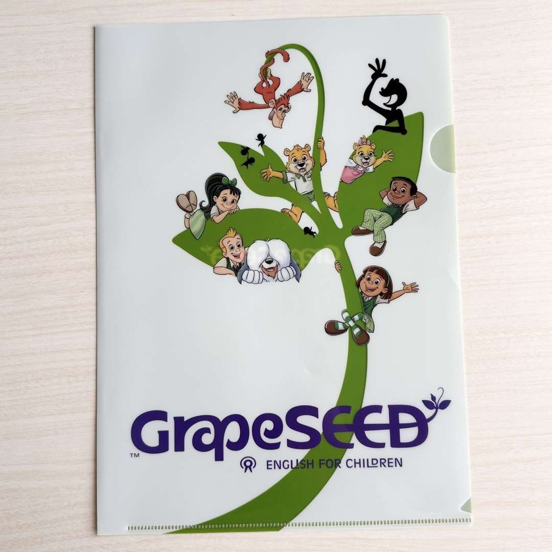 GrapeSEED   トートバッグ　A4ファイル レディースのバッグ(トートバッグ)の商品写真