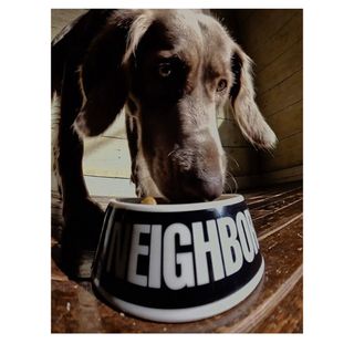 NEIGHBORHOOD - NEIGHBORHOOD　CI/CE-DOG BOWL ドッグボウル