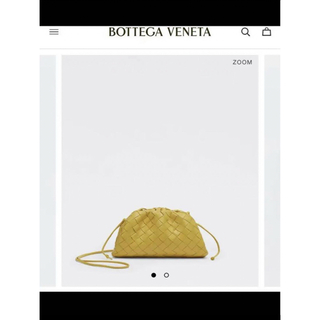 ボッテガヴェネタ(Bottega Veneta)の新品同様♡限定カラー‼︎ミニ ザ・ポーチ　完売品★‼︎(ショルダーバッグ)