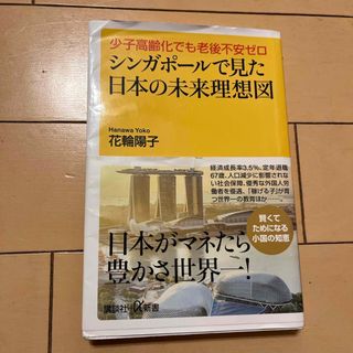 シンガポールで見た日本の未来理想図(その他)