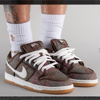 ナイキ(NIKE)のNike SB Dunk Low PRM "Brown Paisley"(スニーカー)