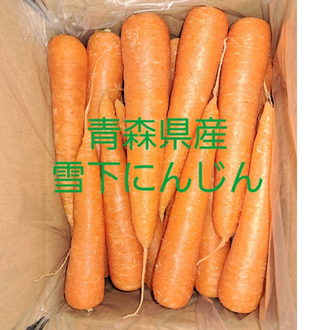 ☆雪下人参☆ 食品/飲料/酒の食品(野菜)の商品写真