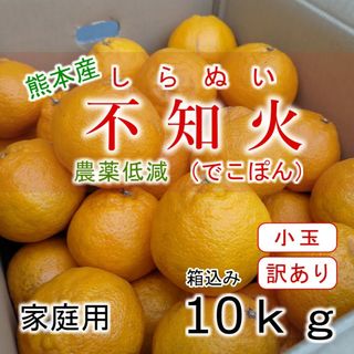 熊本県産 不知火(デコポン) 訳あり小玉 箱込み10kg 低減農薬(フルーツ)