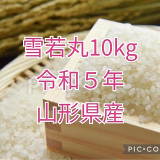 雪若丸10kg　令和５年山形県産(米/穀物)