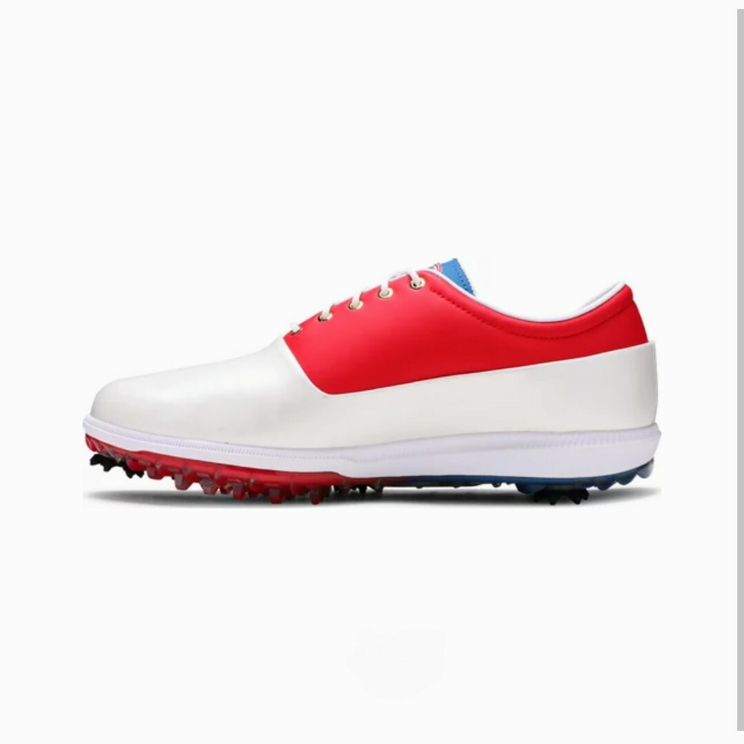 NIKE(ナイキ)の【レア】ナイキAIRZOOM VICTORY TOUR GOLF USA27.0 スポーツ/アウトドアのゴルフ(シューズ)の商品写真