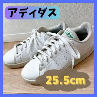 アディダス(adidas)の【美品】 adidas スニーカー 25.5cm アドバンコート(スニーカー)