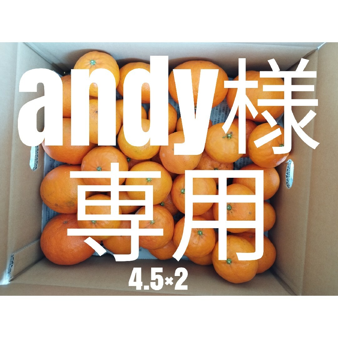 andy様専用 食品/飲料/酒の食品(フルーツ)の商品写真