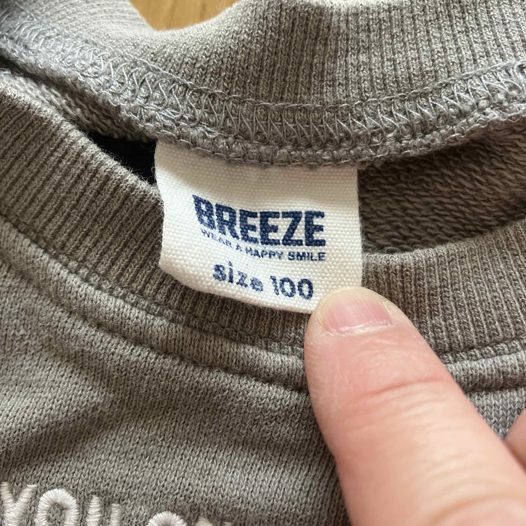 BREEZE(ブリーズ)のブリーズトップス2枚セット　100 キッズ/ベビー/マタニティのキッズ服男の子用(90cm~)(Tシャツ/カットソー)の商品写真