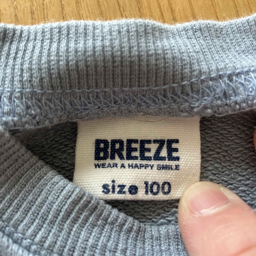 BREEZE(ブリーズ)のブリーズトップス2枚セット　100 キッズ/ベビー/マタニティのキッズ服男の子用(90cm~)(Tシャツ/カットソー)の商品写真