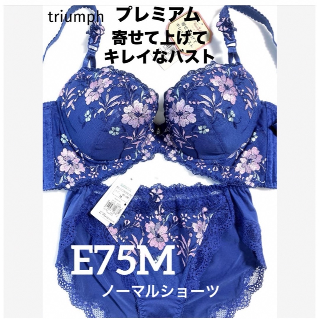 Triumph(トリンプ)の【新品タグ付】triumph／プレミアム・E75M（定価¥11,110） レディースの下着/アンダーウェア(ブラ&ショーツセット)の商品写真