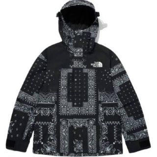 ザノースフェイス(THE NORTH FACE)のL 新品 韓国 ノースフェイス マウンテンジャケット ゴアテックス ペイズリー(マウンテンパーカー)