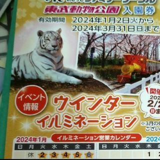 東武動物公園　入園券(動物園)