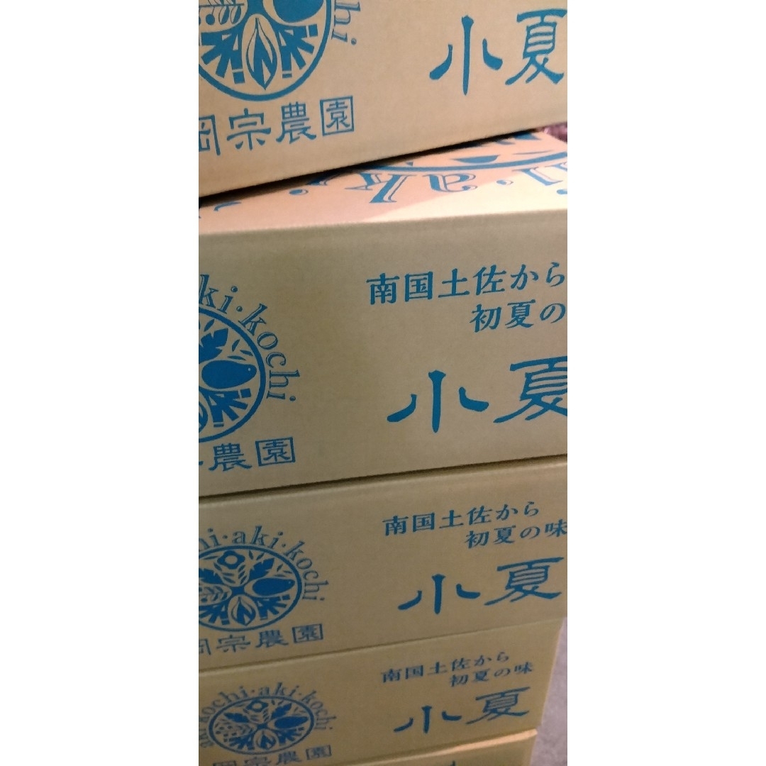 高知県産　ハウス小夏　2Lサイズ　5kg 　送料無料　お買い得(^^) 食品/飲料/酒の食品(フルーツ)の商品写真