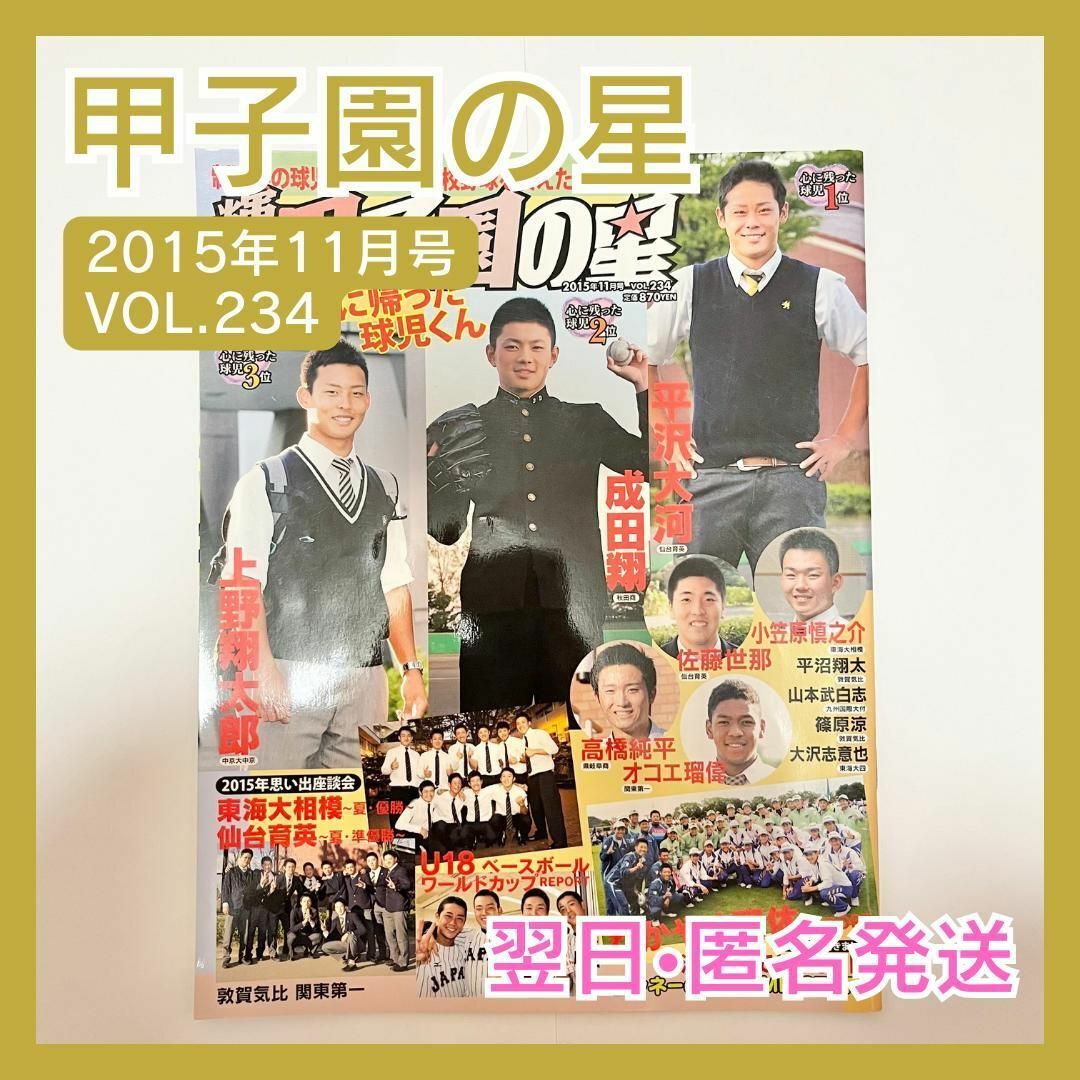 輝け甲子園の星　2015年11月号　VOL.234　高校野球　野球 エンタメ/ホビーの雑誌(趣味/スポーツ)の商品写真