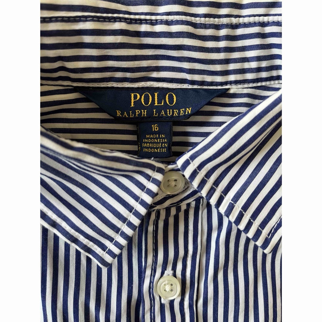 POLO RALPH LAUREN(ポロラルフローレン)の【ポロラルフローレン】ワンピース キッズ/ベビー/マタニティのキッズ服女の子用(90cm~)(ワンピース)の商品写真