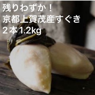 残りわずか！京都上賀茂産すぐき大サイズ2本1.2kg(漬物)