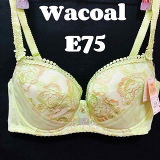 ワコール(Wacoal)のE75 ワコール　ブラジャー　レシアージュ(ブラ)