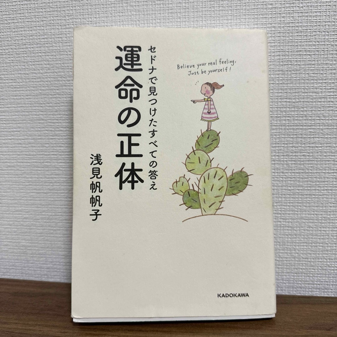 角川書店(カドカワショテン)のセドナで見つけたすべての答え 運命の正体　スピリチュアル　運命 エンタメ/ホビーの本(趣味/スポーツ/実用)の商品写真