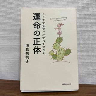 セドナで見つけたすべての答え 運命の正体　スピリチュアル　運命