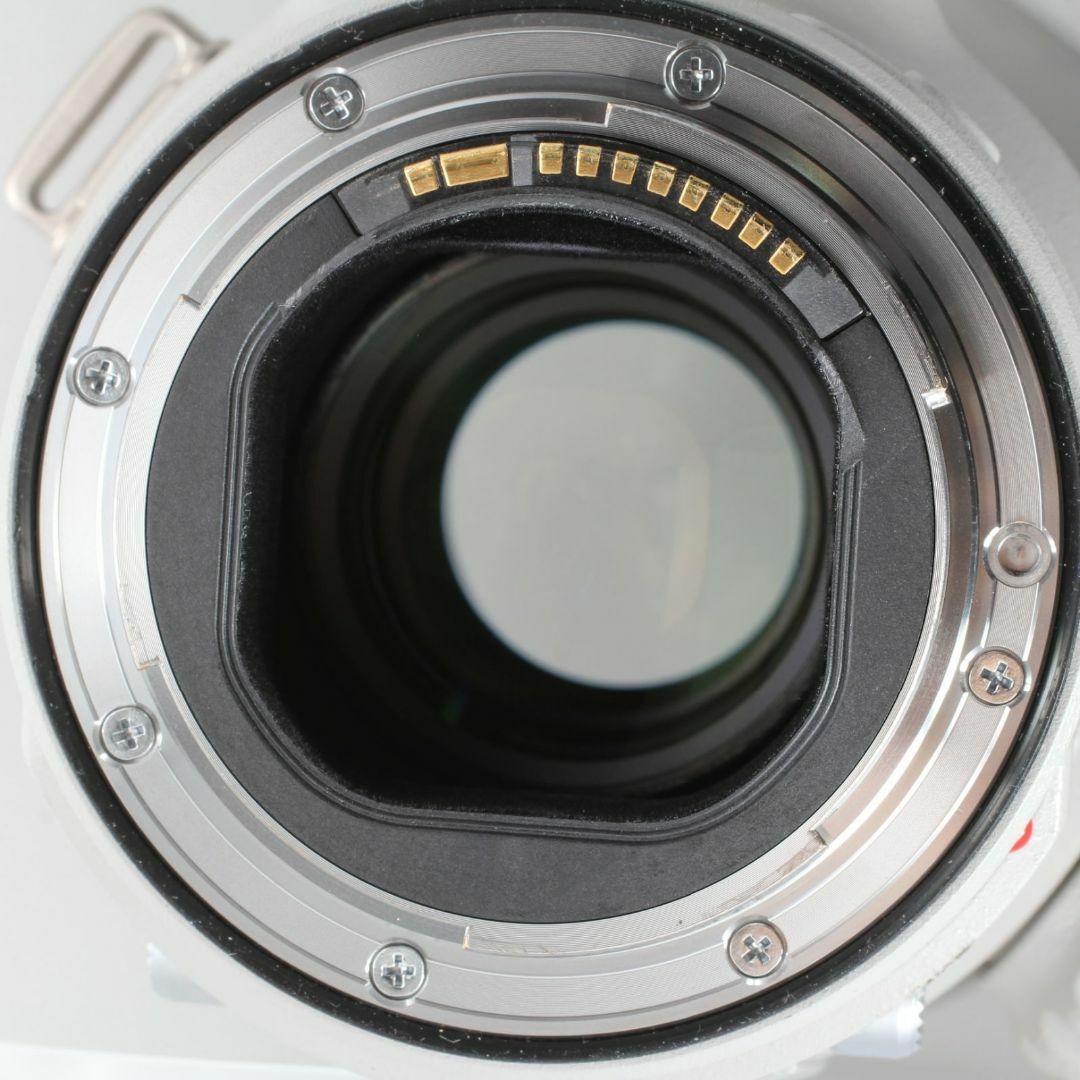 Canon(キヤノン)のCanon EF400mm F4 DO IS II USM スマホ/家電/カメラのカメラ(レンズ(単焦点))の商品写真