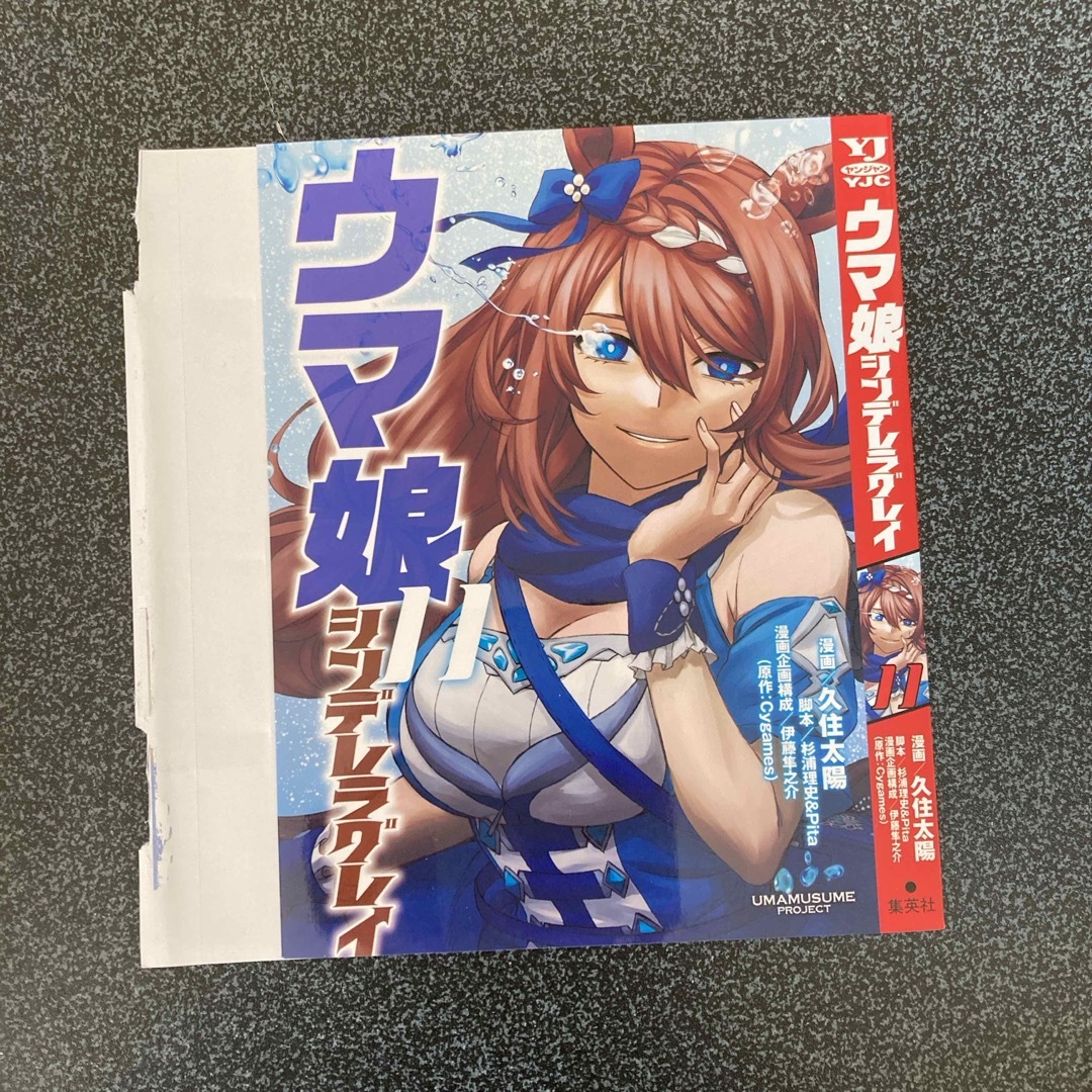 ウマ娘　シンデレラグレイ11 かけ替えカバー エンタメ/ホビーのアニメグッズ(その他)の商品写真