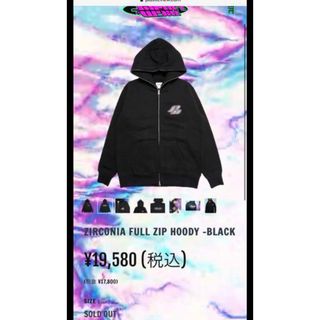 シュプリーム(Supreme)のplusticview パーカー(パーカー)